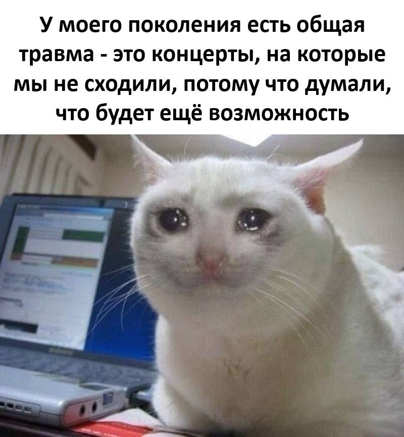 У моего поколения есть общая травма — это концерты, на которые мы не сходили, потому что думали, что будет ещё возможность.