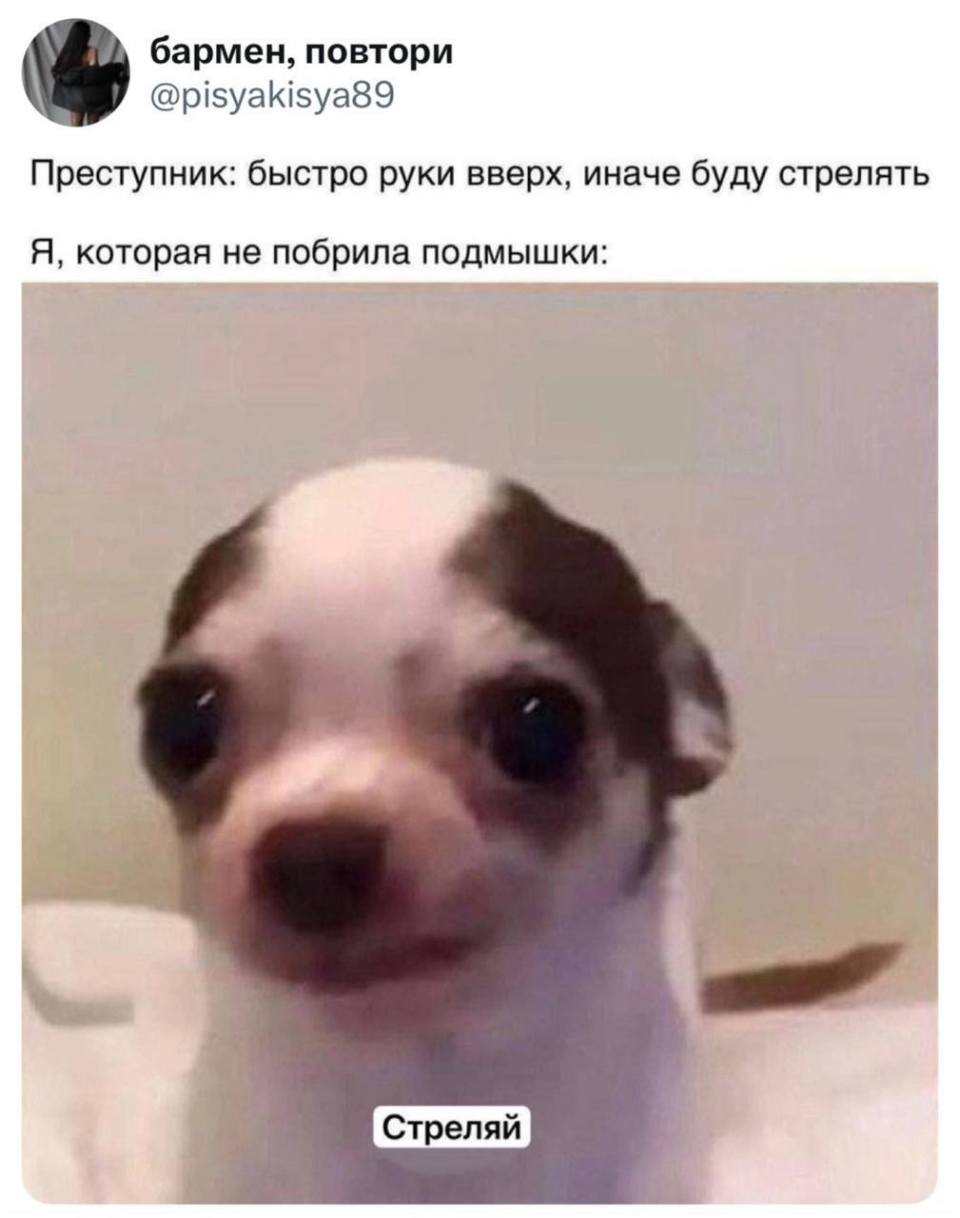 Преступник: Быстро руки вверх, иначе буду стрелять.
Я, которая не побрила подмышки: Стреляй.