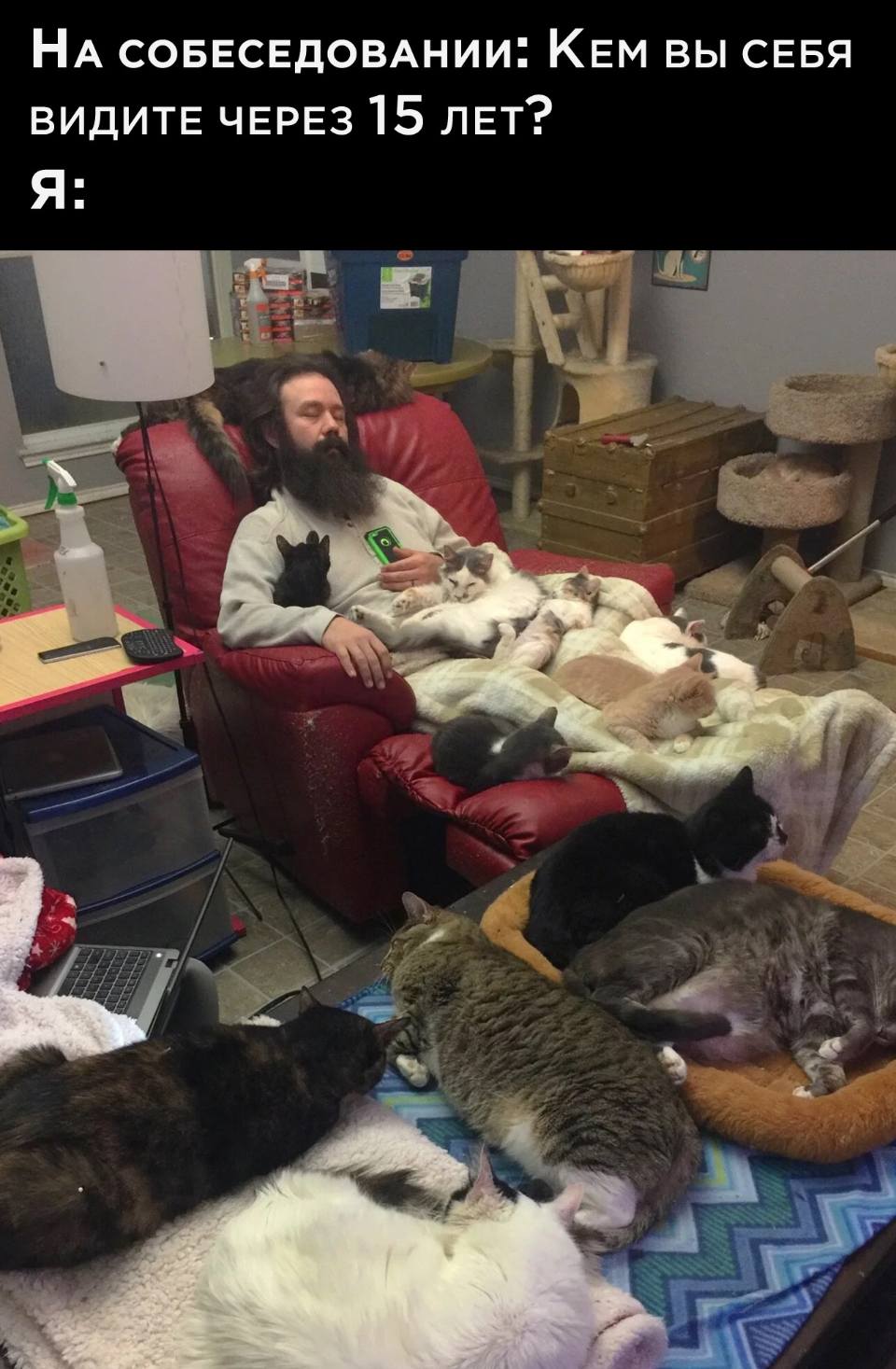 НА СОБЕСЕДОВАНИИ: КЕМ ВЫ СЕБЯ ВИДИТЕ ЧЕРЕЗ 15 ЛЕТ?