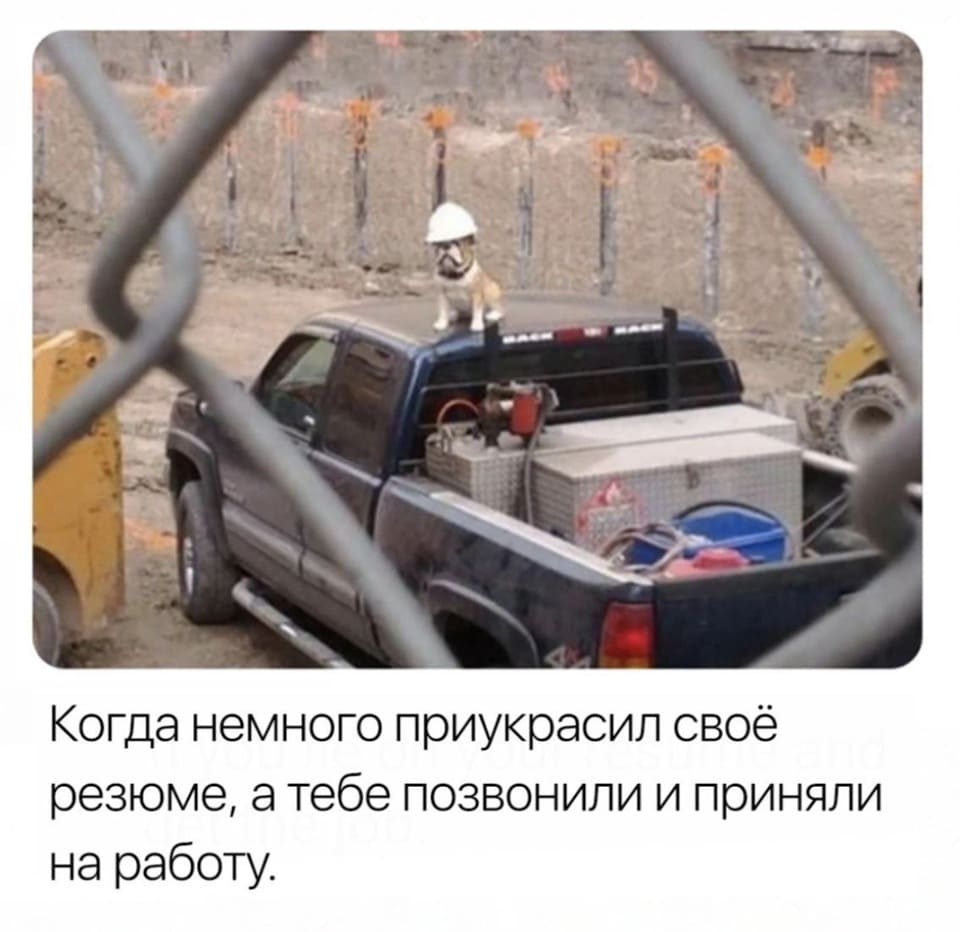 *Когда немного приукрасил своё резюме, а тебе позвонили и приняли на работу*