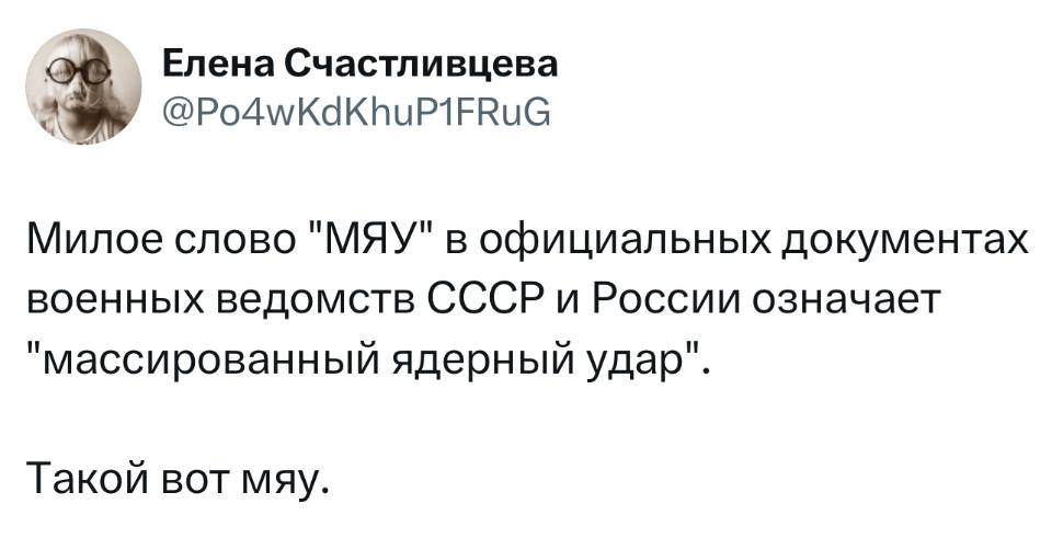 Милое слово «МЯУ» в официальных документах военных ведомств СССР и России означает «массированный ядерный удар».
Такой вот мяу.