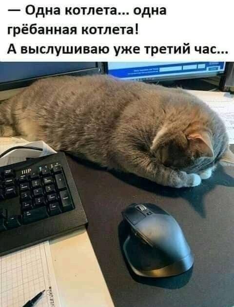 — Одна котлета... одна грёбанная котлета! А выслушиваю уже третий час...