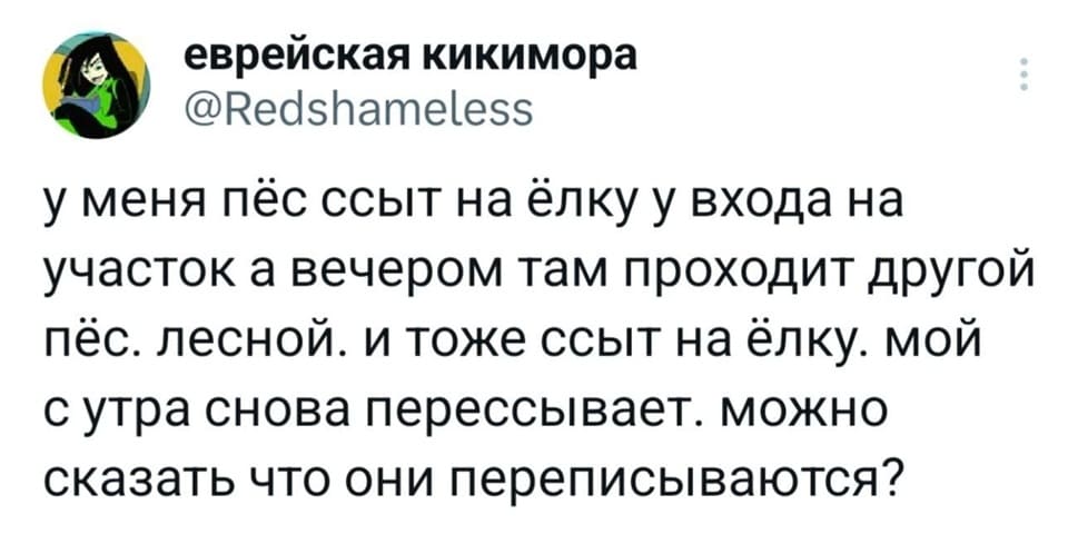 У меня пёс ссыт на ёлку у входа на участок, а вечером там проходит другой пёс, лесной, и тоже ссыт на ёлку. Мой с утра снова перессывает. Можно сказать, что они переписываются?