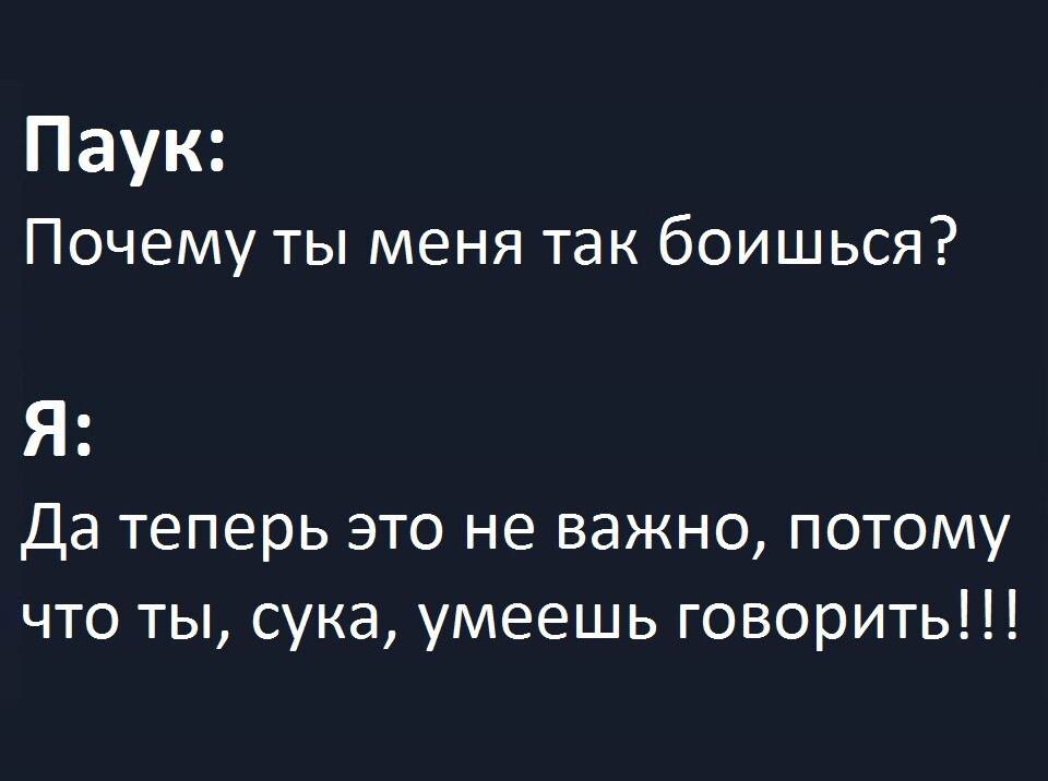 Паук: Почему ты меня так боишься?
Я: Да теперь это не важно, потому что ты, сука, умеешь говорить!!!