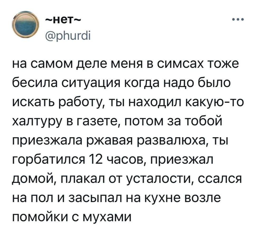 На самом деле меня в симсах тоже бесила ситуация когда надо было искать работу, ты находил какую-то халтуру в газете, потом за тобой приезжала ржавая развалюха, ты горбатился 12 часов, приезжал домой, плакал от усталости, ссался на пол и засыпал на кухне возле помойки с мухами.