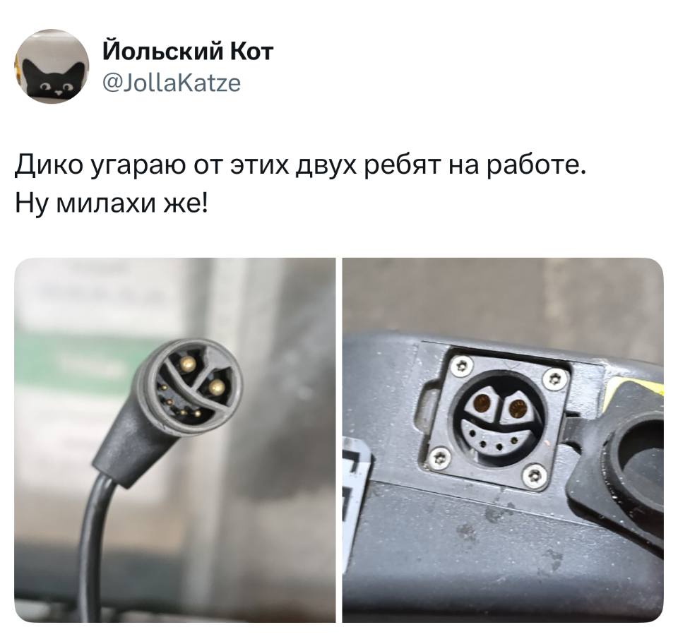 Дико угараю от этих двух ребят на работе. Ну милахи же!