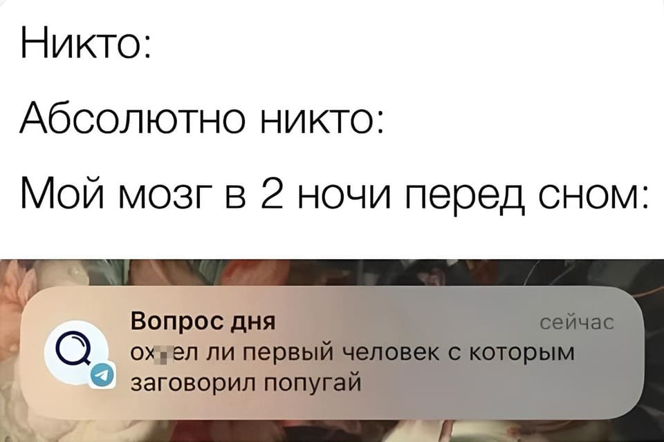 Никто:
Абсолютно никто:
Мой мозг в 2 ночи перед сном:
Вопрос дня: Ох*ел ли первый человек с которым заговорил попугай?