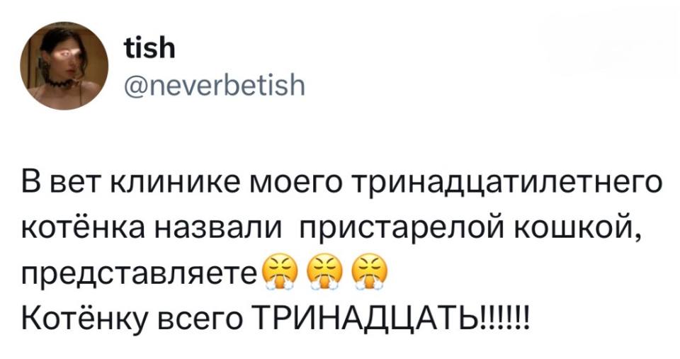В ветклинике моего тринадцатилетнего котёнка назвали престарелой кошкой, представляете.
Котёнку всего ТРИНАДЦАТЬ!!!!!!