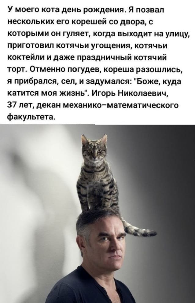 У моего кота день рождения. Я позвал нескольких его корешей со двора, с которыми он гуляет, когда выходит на улицу, приготовил котячьи угощения, котячьи коктейли и даже праздничный котячий торт. Отменно погудев, кореша разошлись, я прибрался, сел, и задумался: «Боже, куда катится моя жизнь». Игорь Николаевич, 37 лет, декан механико-математического факультета.