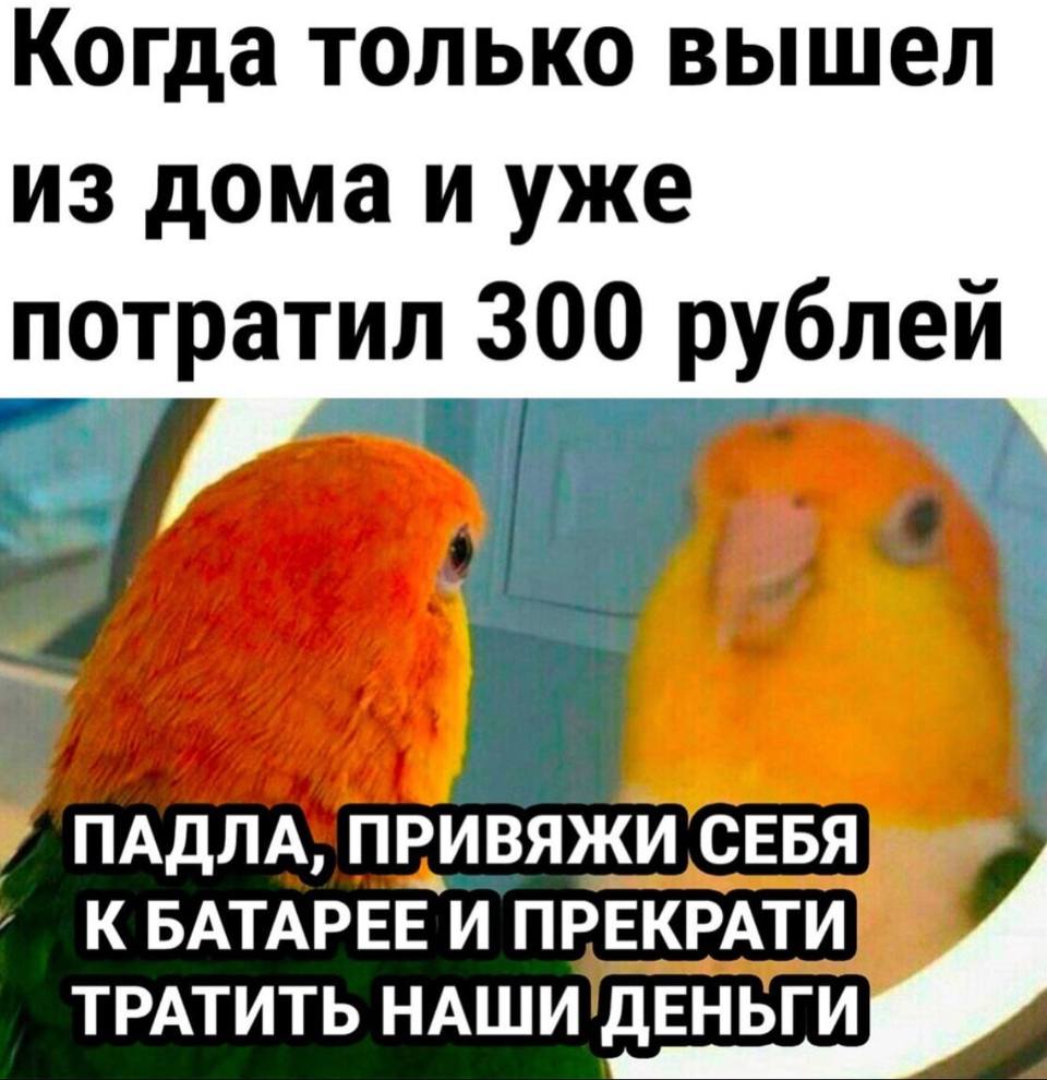 *Когда только вышел из дома и уже потратил 300 рублей*
– Падла, привяжи себя к батарее и прекрати тратить наши деньги!
