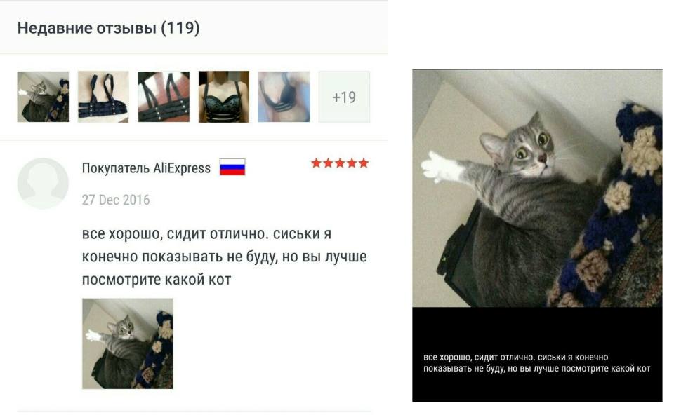 Недавние отзывы (119)
Всё хорошо, сидит отлично. Сиськи я, конечно, показывать не буду, но вы лучше посмотрите какой кот!