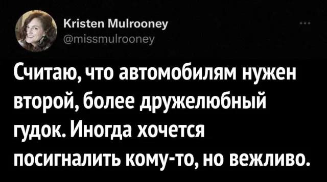 Считаю, что автомобилям нужен второй, более дружелюбный гудок. Иногда хочется посигналить кому-то, но вежливо.