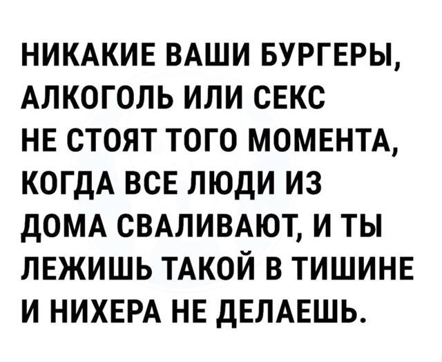 Никакие ваши бургеры, алкоголь или секс не стоят того момента, когда все люди из дома сваливают, и ты лежишь такой в тишине и нихрена не делаешь.
