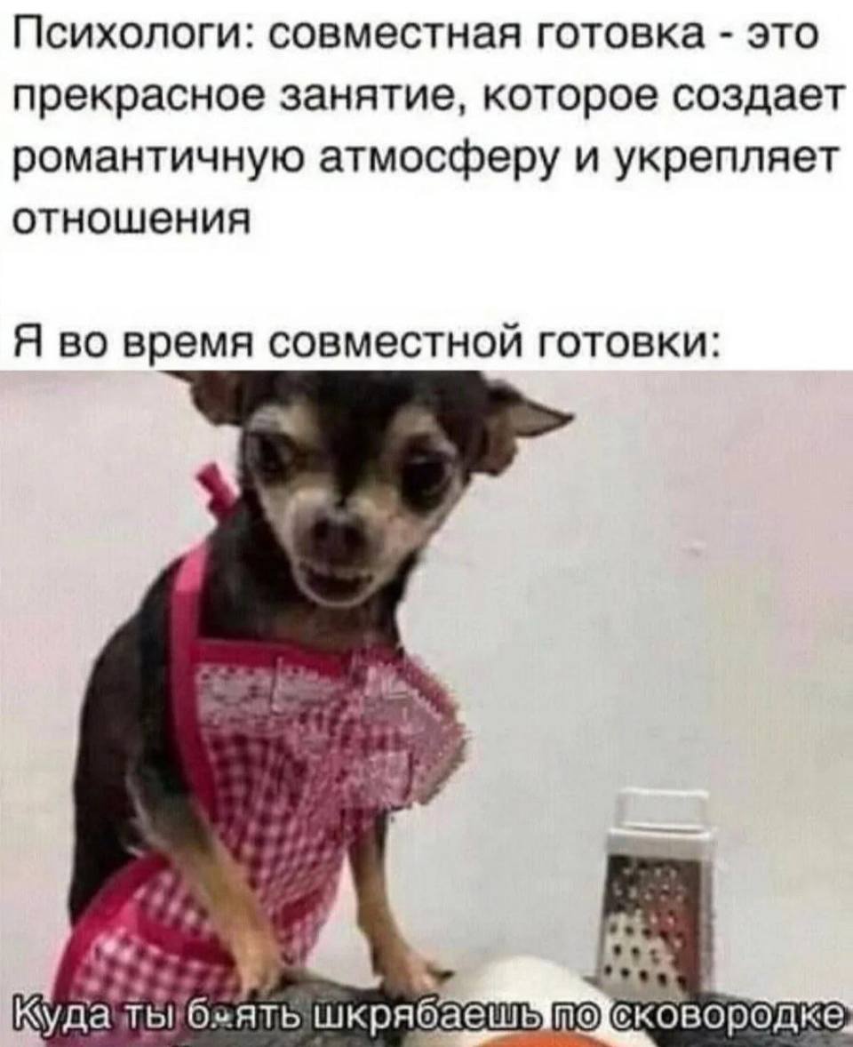 Психологи: совместная готовка – это прекрасное занятие, которое создает романтичную атмосферу и укрепляет отношения.
Я во время совместной готовки: Куда ты бл... шкрябаешь по сковородке?!