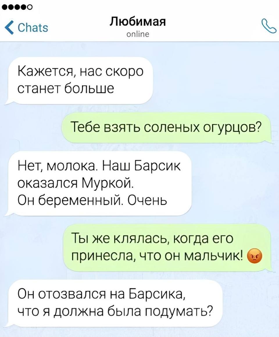 – Кажется, нас скоро станет больше.
– Тебе взять солёных огурцов?
– Нет, молока. Наш Барсик оказался Муркой. Он беременный. Очень.
– Ты же клялась, когда его принесла, что он мальчик!
– Он отозвался на Барсика, что я должна была подумать?