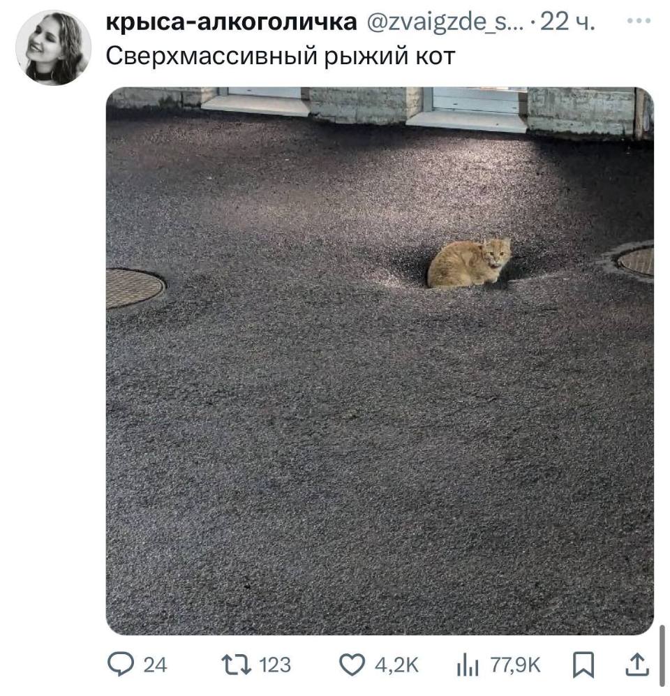 *Сверхмассивный рыжий кот*