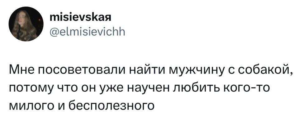 Мне посоветовали найти мужчину с собакой, потому что он уже научен любить кого-то милого и бесполезного.