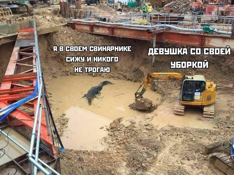 *Я в своём свинарнике сижу никого не трогаю*
*Девушка со своей уборкой*