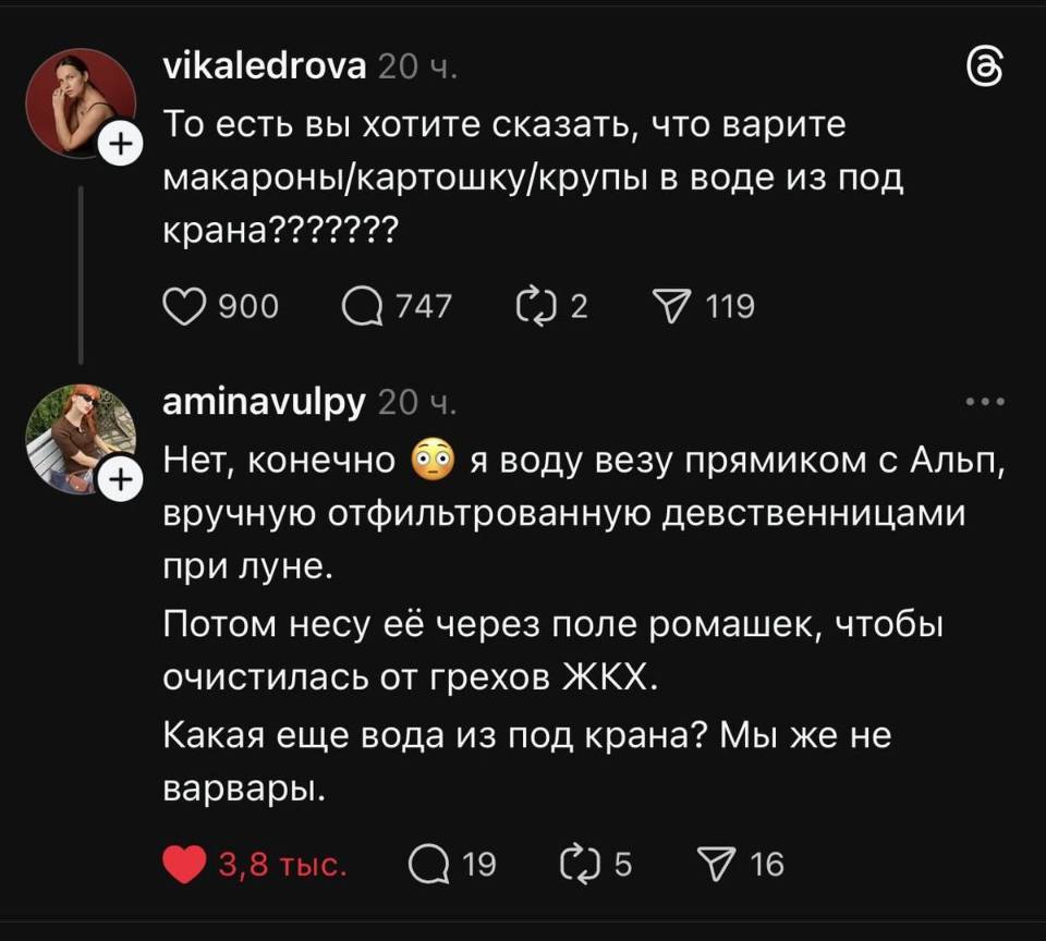 – То есть вы хотите сказать, что варите макароны/картошку/крупы в воде из под крана???????
– Нет, конечно, я воду везу прямиком с Альп, вручную отфильтрованную девственницами при луне. Потом несу её через поле ромашек, чтобы очистилась от грехов ЖКХ. Какая еще вода из под крана? Мы же не варвары.