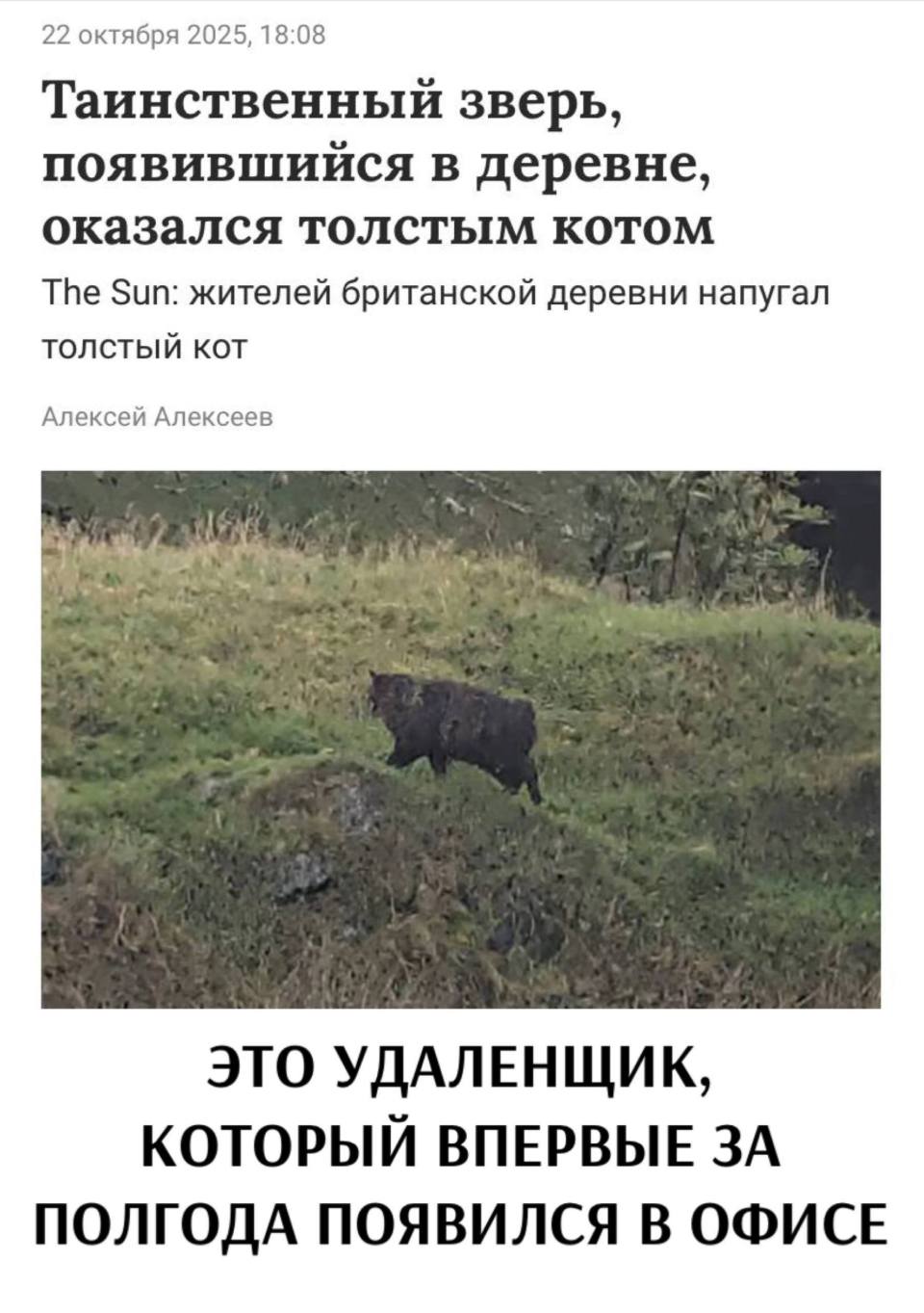 Таинственный зверь, появившийся в деревне, оказался толстым котом.
The Sun: жителей британской деревни напугал толстый кот.
Алексей Алексеев
Комментарий:
– ЭТО УДАЛЁНЩИК, КОТОРЫЙ ВПЕРВЫЕ ЗА ПОЛГОДА ПОЯВИЛСЯ В ОФИСЕ.