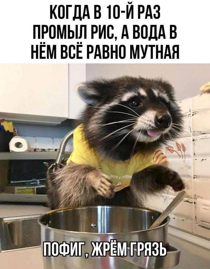 *КОГДА В 10-Й РАЗ ПРОМЫЛ РИС, А ВОДА В НЁМ ВСЁ РАВНО МУТНАЯ*
– Пофиг, жрём грязь...
