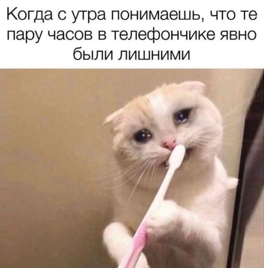 *Когда с утра понимаешь, что те пара часов в телефончике явно были лишними*