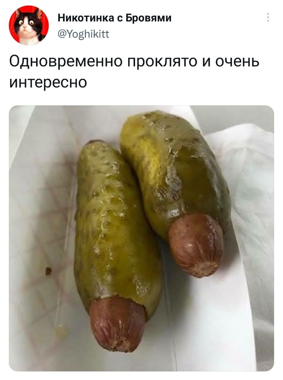 *Одновременно проклято и очень интересно*