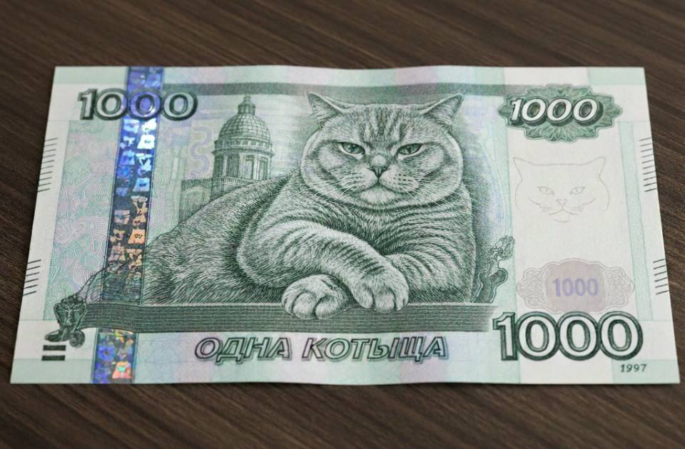 *Банкнота номиналом «Одна котыща»*