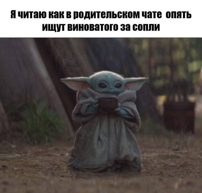 *Я читаю как в родительском чате опять ищут виноватого за сопли*