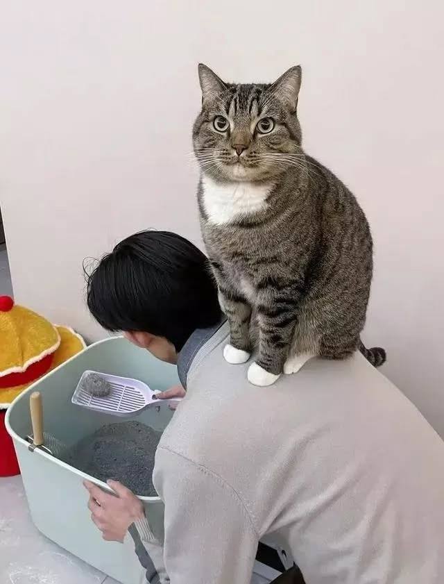 *Пока кожаный выполняет свое предназначение*