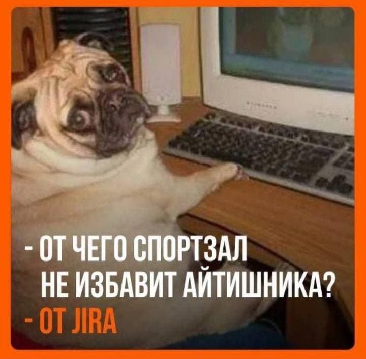 – ОТ ЧЕГО СПОРТЗАЛ НЕ ИЗБАВИТ АЙТИШНИКА?
– ОТ JlRA.