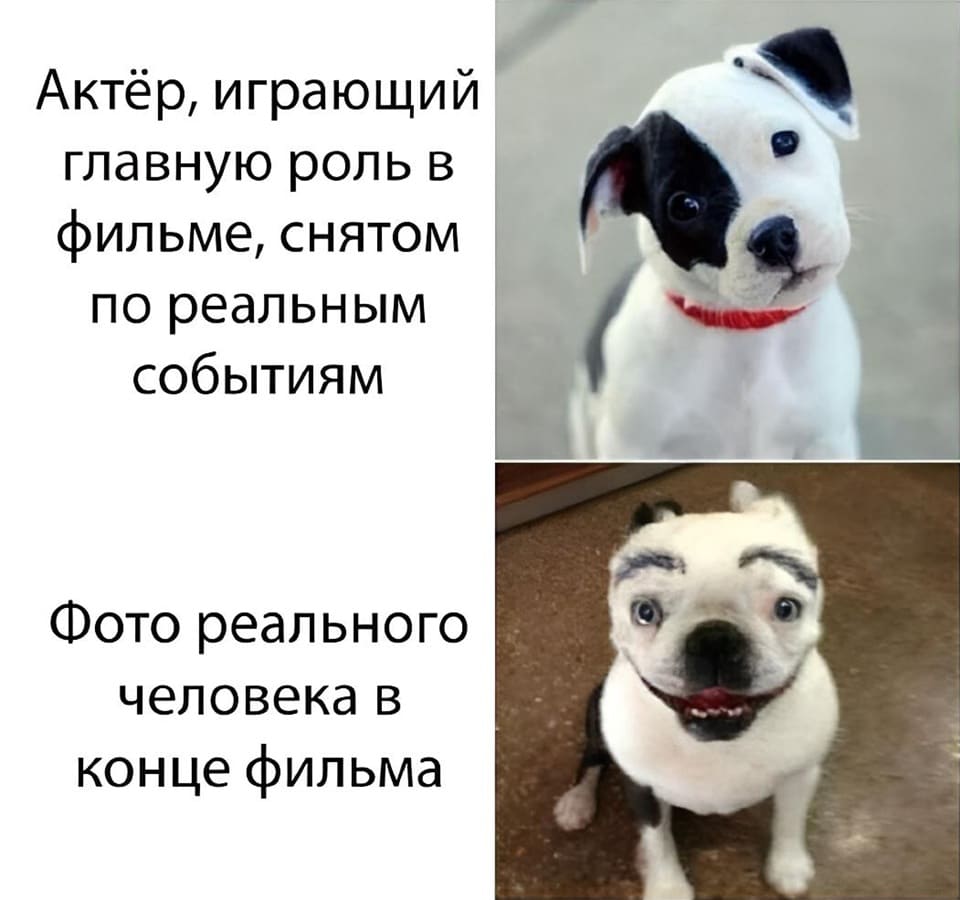 *Актёр, играющий главную роль в фильме, снятом по реальным событиям*
*Фото реального человека в конце фильма*
