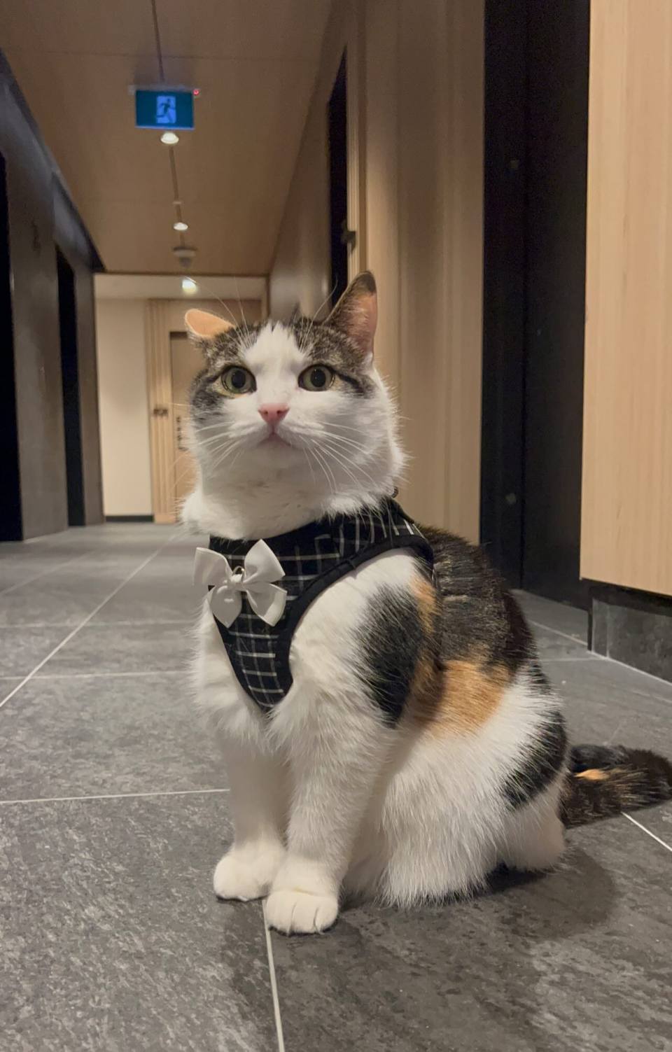 *Ответственный работник гостиницы*