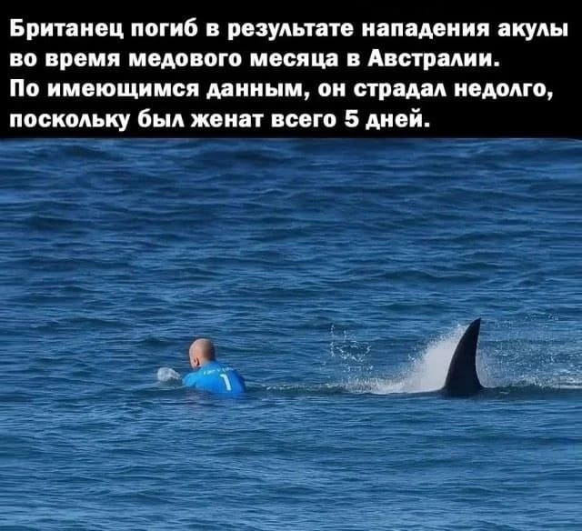 Британец погиб в результате нападения акулы во время медового месяца в Австралии. По имеющимся данным, он страдал недолго, поскольку был женат всего 5 дней.