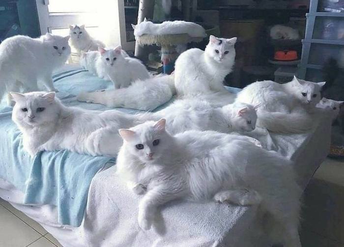 *Забыл закрыть окно и налетело немного снега*