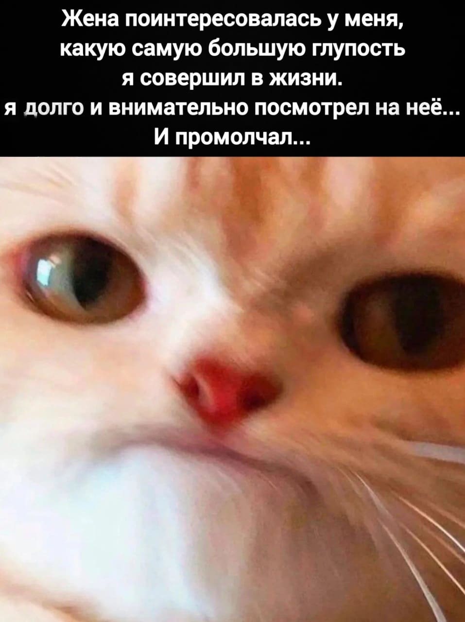 Жена поинтересовалась у меня, какую самую большую глупость я совершил в жизни.
Я долго и внимательно посмотрел на неё...
И промолчал...