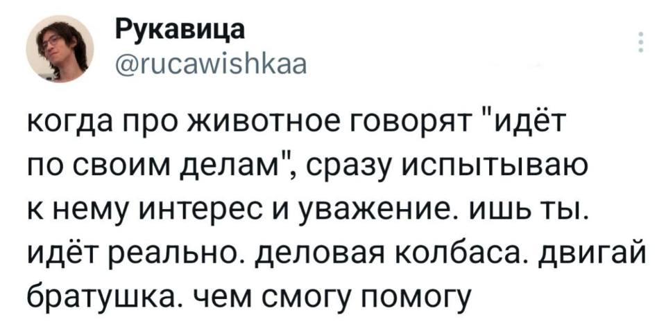 Когда про животное говорят «идёт по своим делам», сразу испытываю к нему интерес и уважение. ишь ты. Идёт реально. Деловая колбаса. Двигай братушка. Чем смогу помогу.