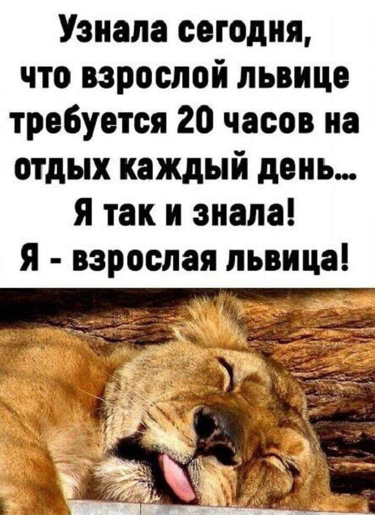 Узнала сегодня, что взрослой львице требуется 20 часов на отдых каждый день... Я так и знала! Я – взрослая львица!