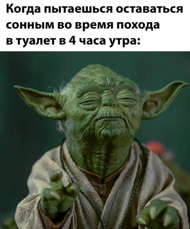 *Когда пытаешься оставаться сонным во время похода в туалет в 4 часа утра*