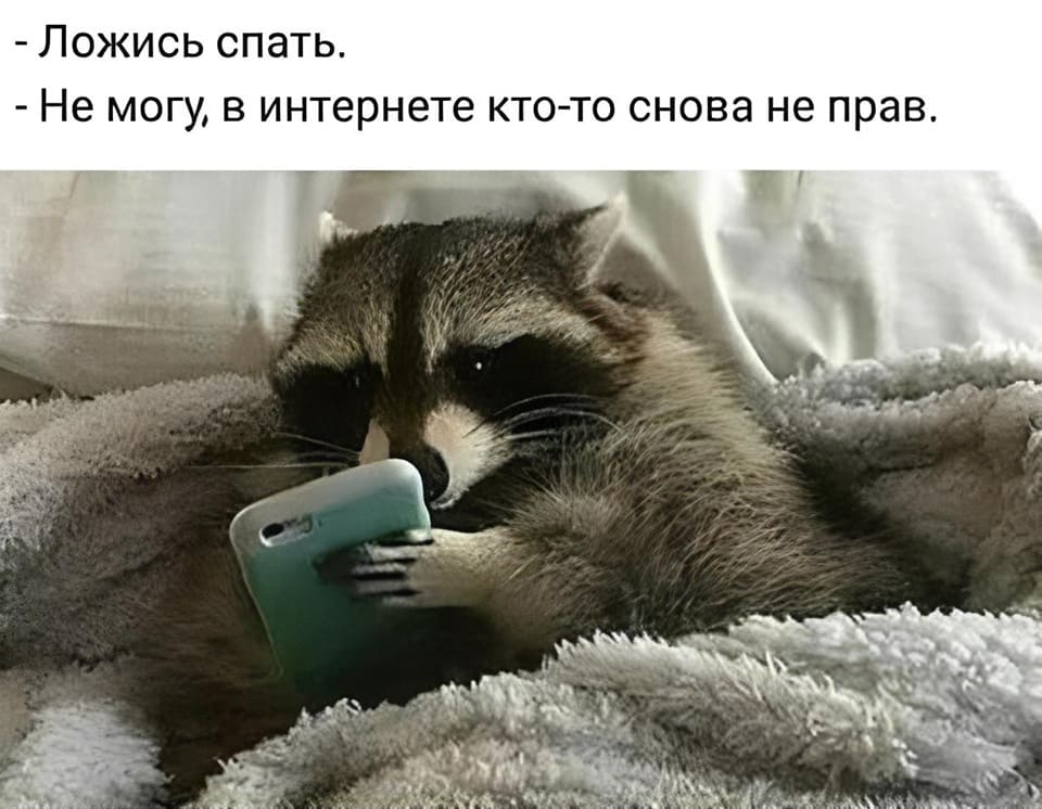 – Ложись спать.
– Не могу в интернете кто-то снова не прав.