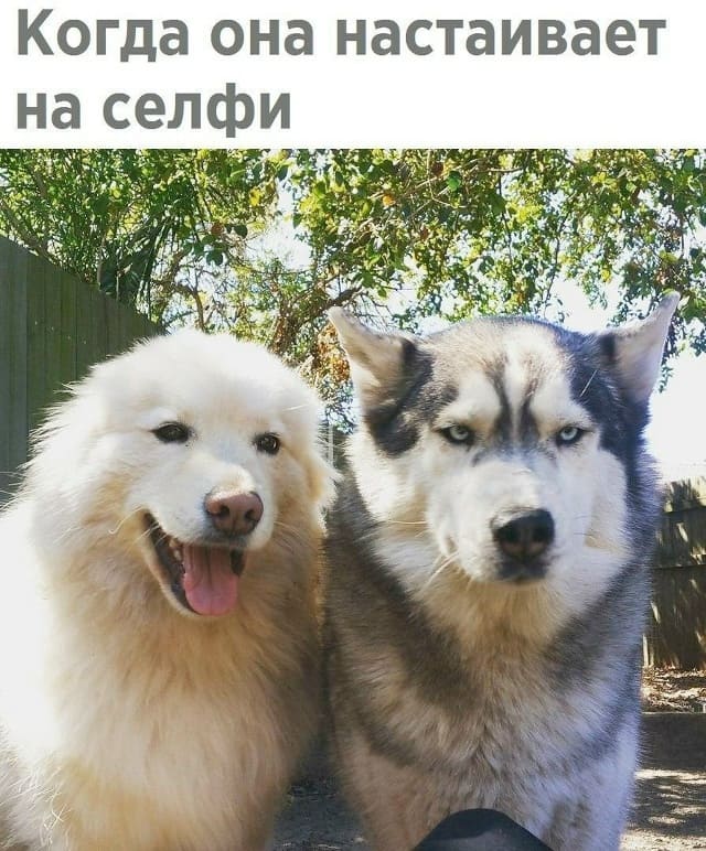 *Когда она настаивает на селфи*