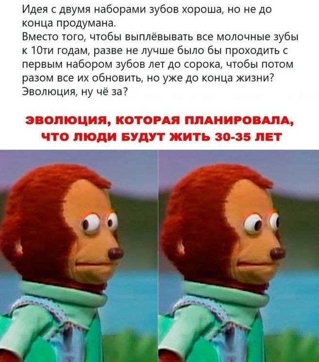 Идея с двумя наборами зубов хороша, но не до конца продумана. Вместо того, чтобы выплёвывать все молочные зубы к 10-ти годам, разве не лучше было бы проходить с первым набором зубов лет до сорока, чтобы потом разом все их обновить, но уже до конца жизни? Эволюция, ну чё за?
*ЭВОЛЮЦИЯ, КОТОРАЯ ПЛАНИРОВАЛА, ЧТО ЛЮДИ БУДУТ ЖИТЬ 30-35 ЛЕТ*