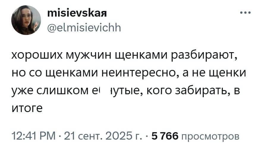 Хороших мужчин щенками разбирают, но со щенками неинтересно, а не щенки уже слишком еб*нутые, кого забирать, в итоге?