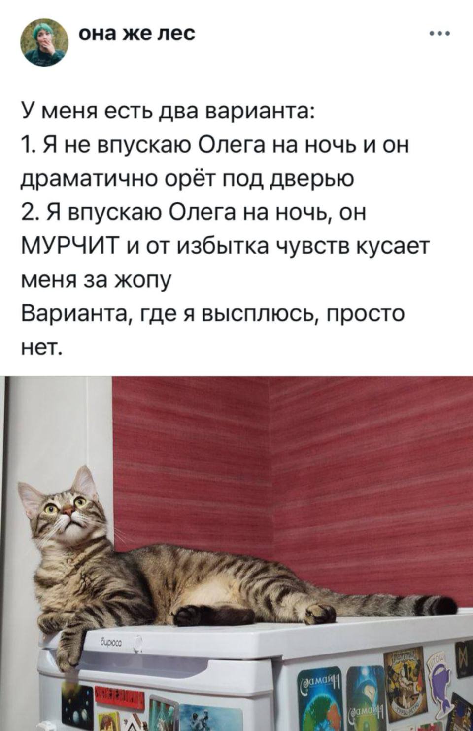 У меня есть два варианта:
1. Я не впускаю Олега на ночь и он драматично орёт под дверью
2. Я впускаю Олега на ночь, он МУРЧИТ и от избытка чувств кусает меня за жопу
Варианта, где я высплюсь, просто нет.