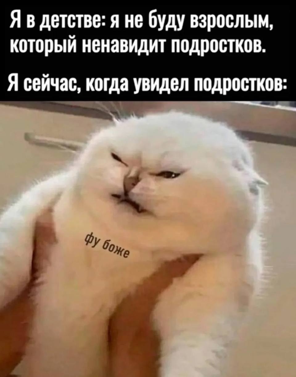 Я в детстве: Я не буду взрослым, который ненавидит подростков.
Я сейчас, когда увидел подростков: Фу Боже..