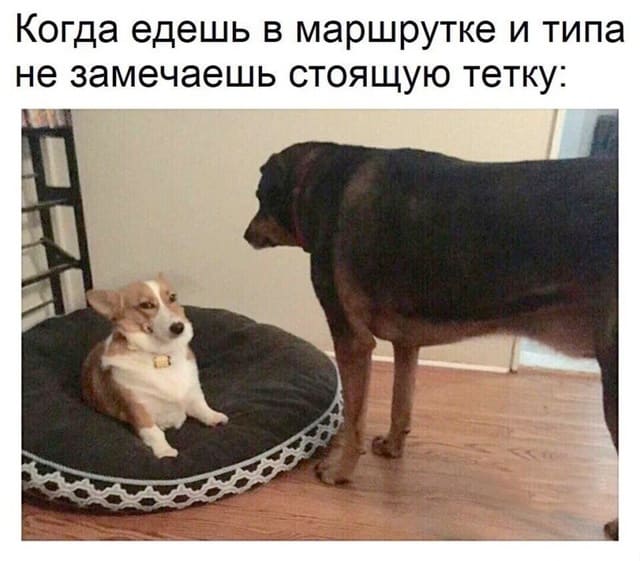 *Когда едешь в маршрутке и типа не замечаешь стоящую тетку*