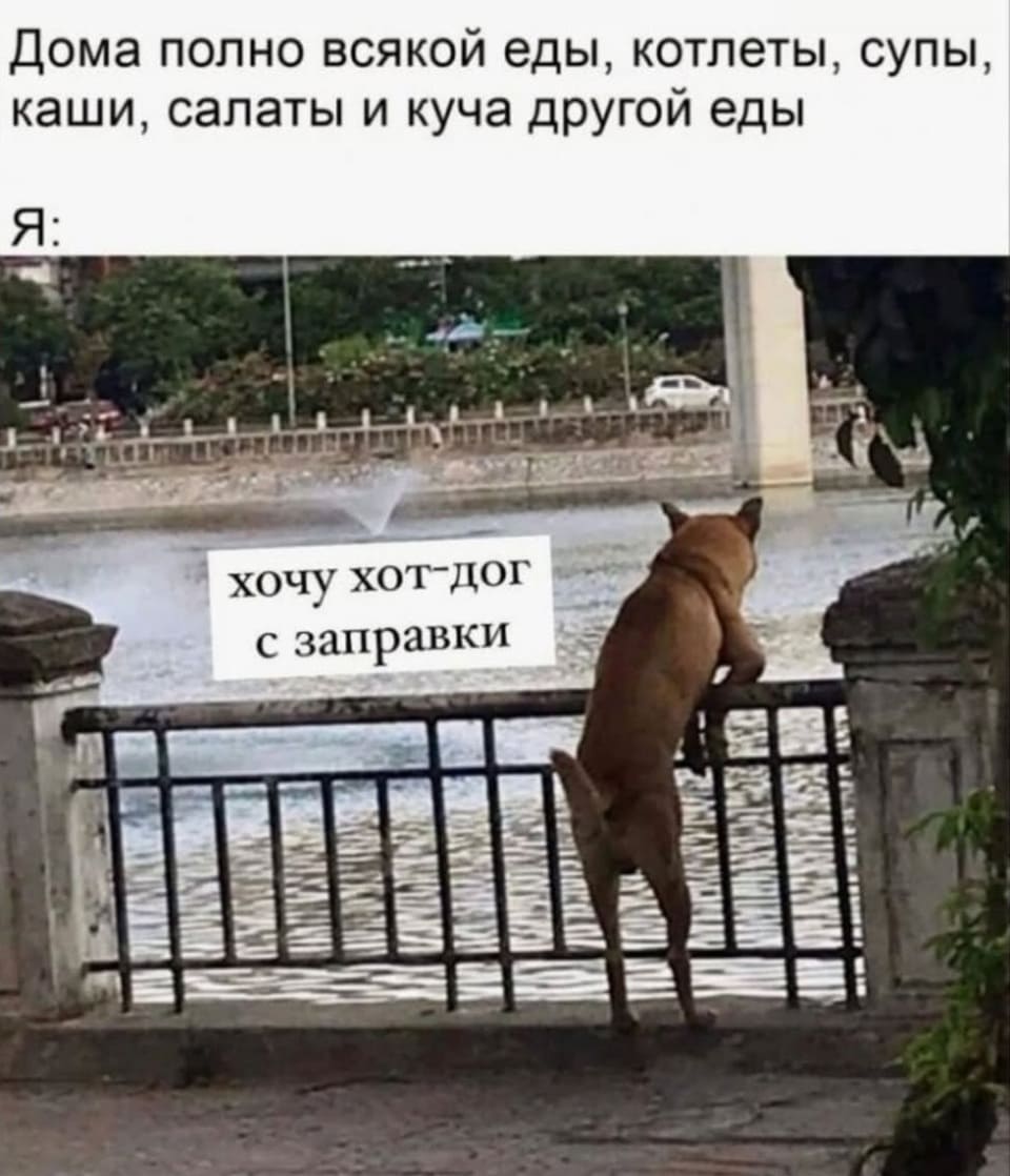 Дома полно всякой еды, котлеты, супы, каши, салаты и куча другой еды.
Мои мысли:
– Хочу хот-дог с заправки...