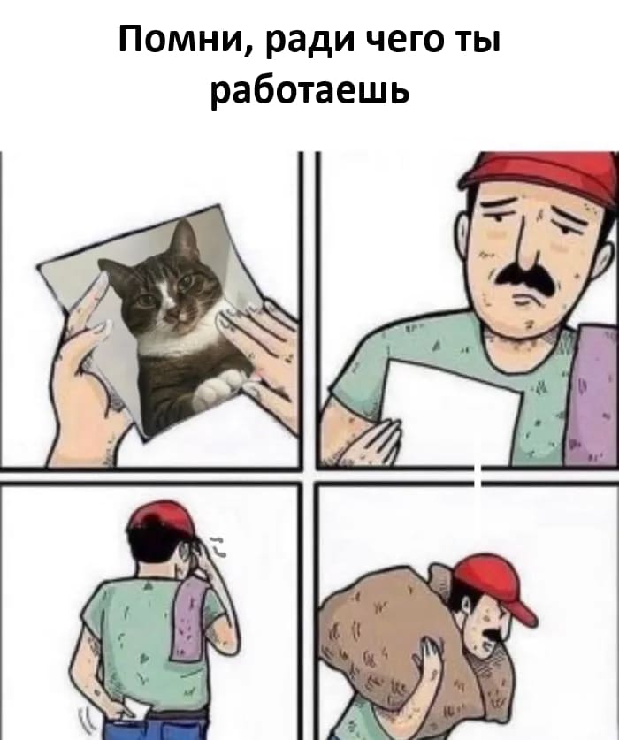 *Помни, ради чего ты работаешь*
*Дома тебя ждёт котик*