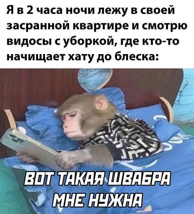 Я в 2 часа ночи лежу в своей засранной квартире и смотрю видосы с уборкой, где кто-то начищает хату до блеска: *Вот такая швабра мне нужна*