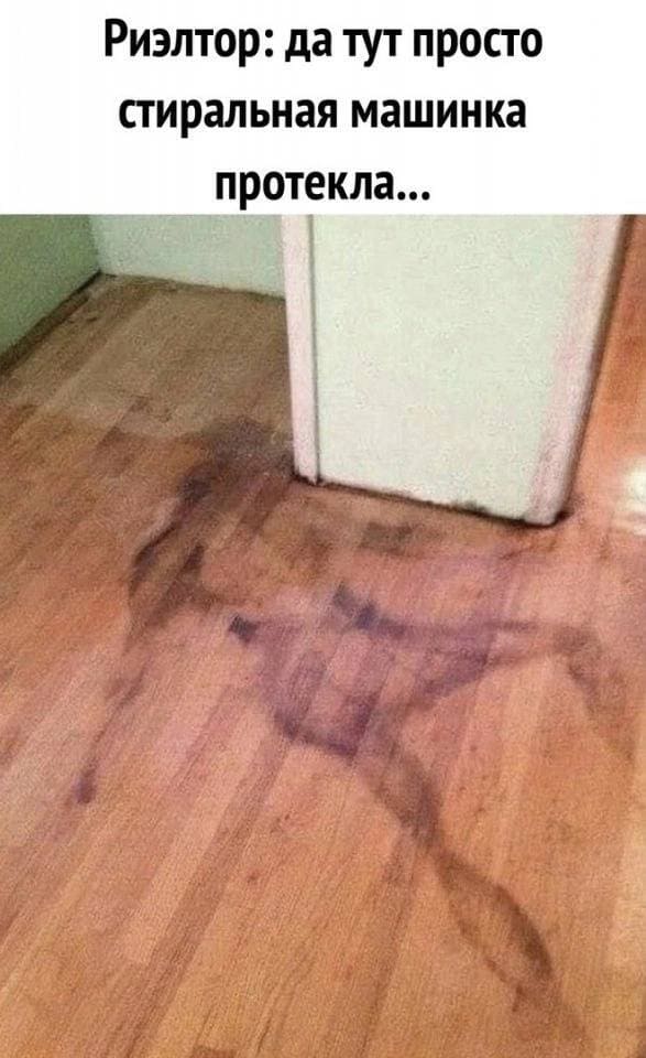 Риэлтор: да тут просто стиральная машинка протекла...